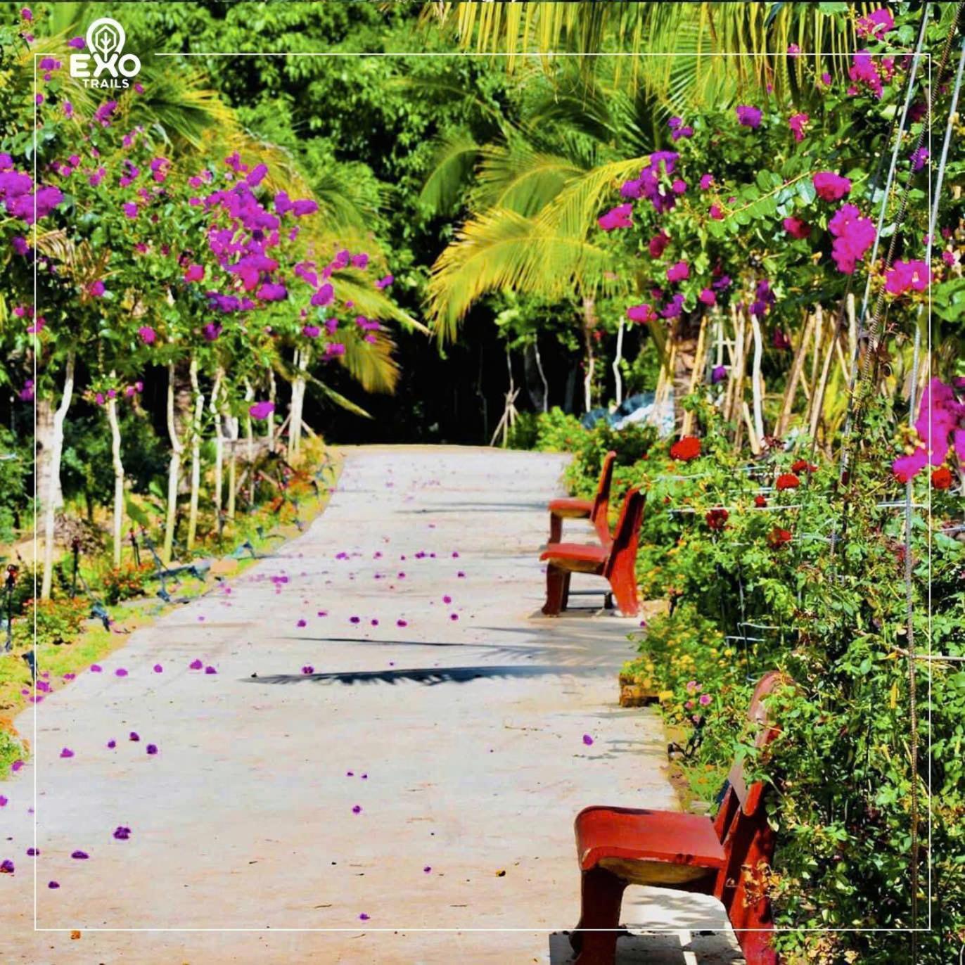 Phu Dien Homestay 캇 티엔 외부 사진