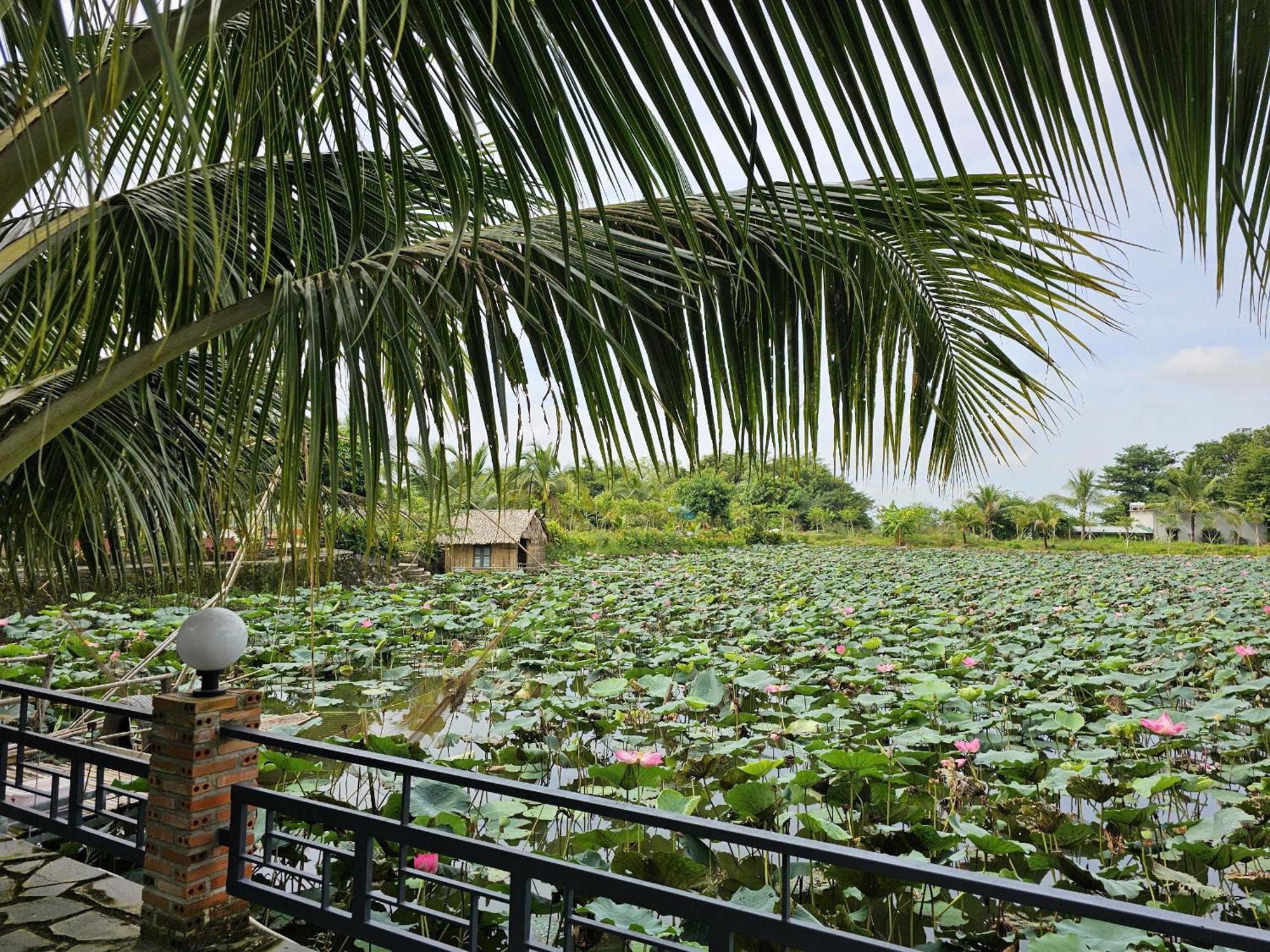 Phu Dien Homestay 캇 티엔 외부 사진